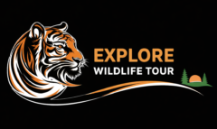 WildXplore | lndia|  Ranthambore Wildlife Safari Booking